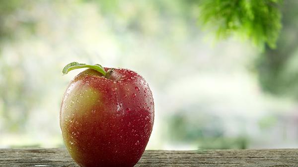 清蒸鱼砂锅鱼头煲 跟着广州人学吃鱼